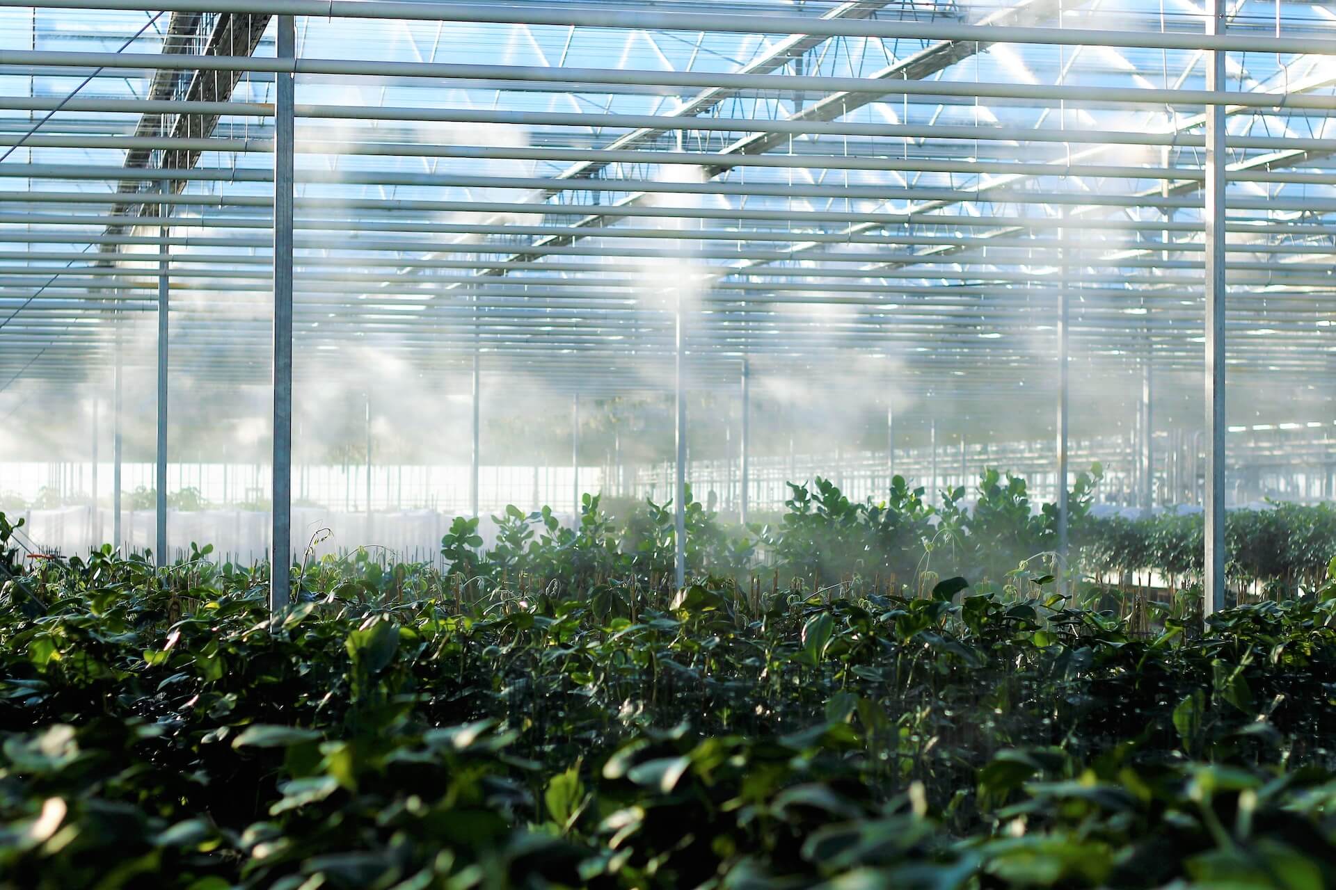 agriculture-img